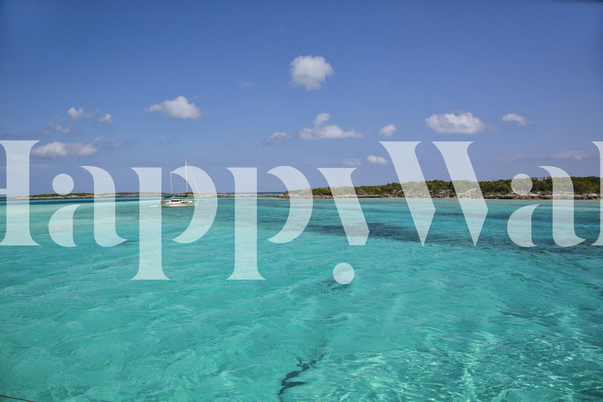 Design di carta da parati tropicale in una stanza