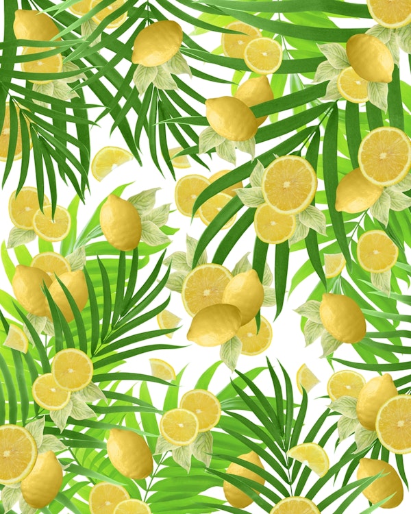 Summer Lemon Twist Jungle 2