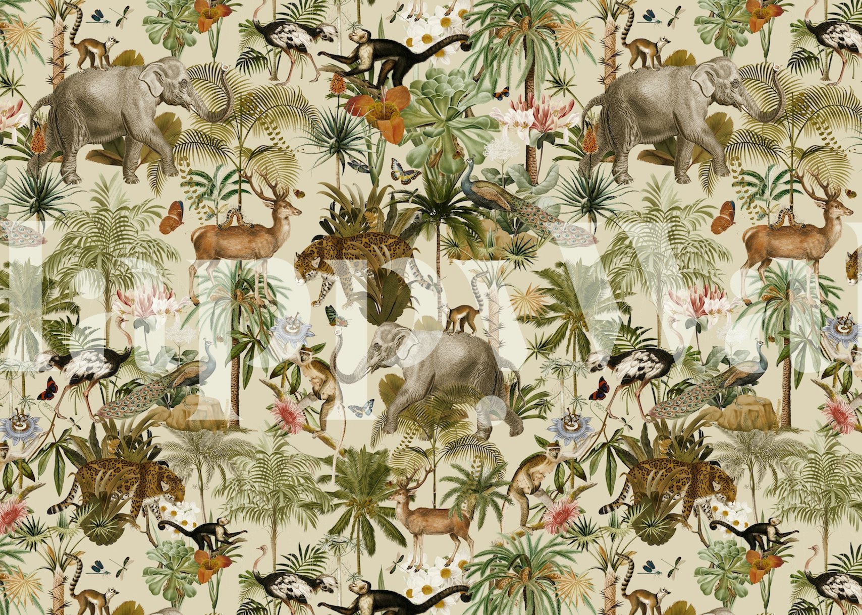 Tropical Safari Jungle wallpaper - Happywall