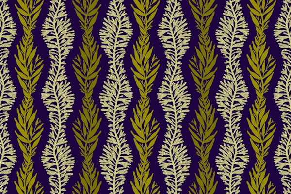 Underwater Seaweed and Kelp