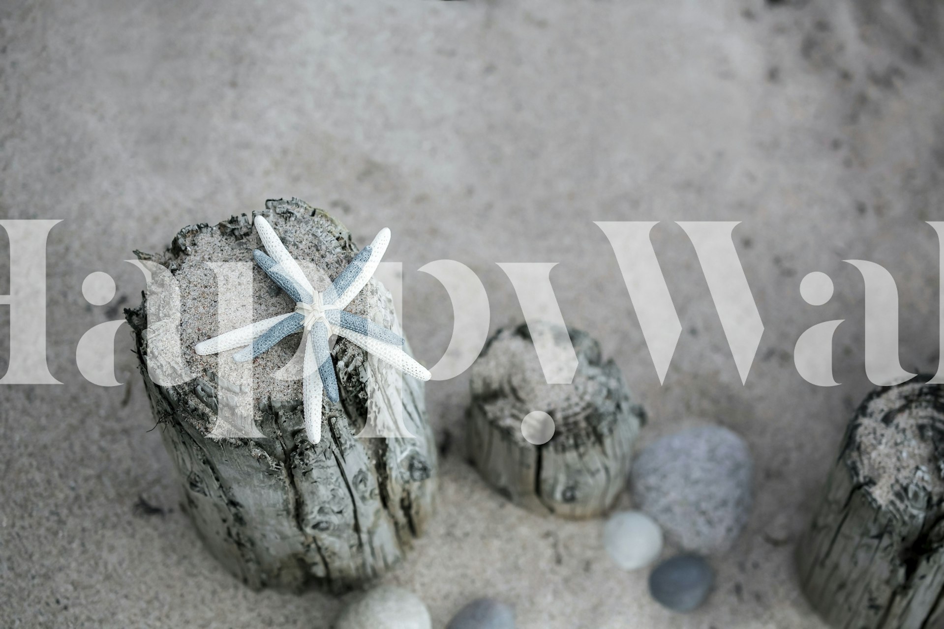 Beach starfish on driftwood with pebbles and sand wallpaper