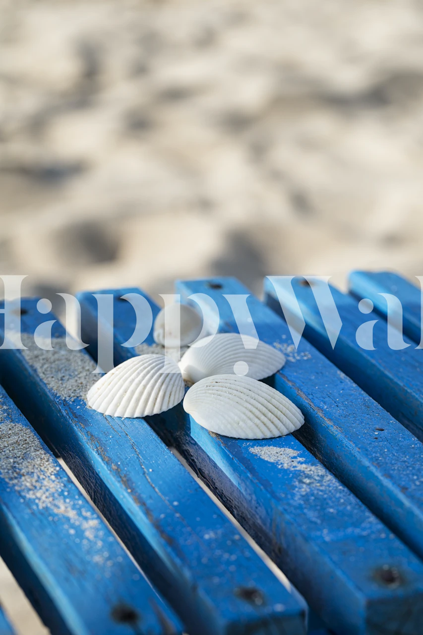 Wallpaper featuring white shells on blue chair
