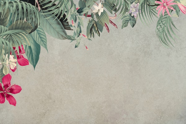 Jungle Vibe Botanicals