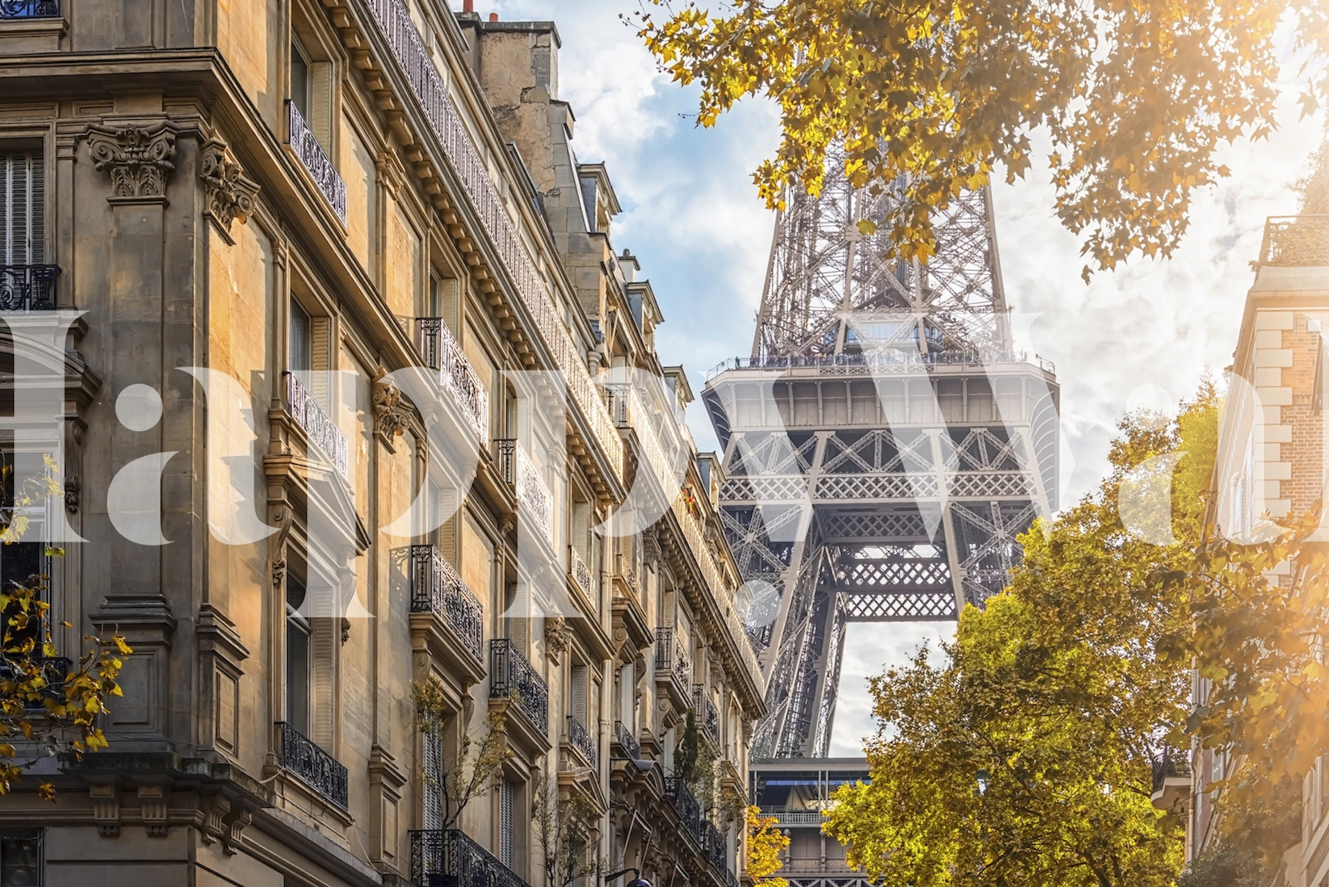 Eiffel Tower wallpaper in a room setting