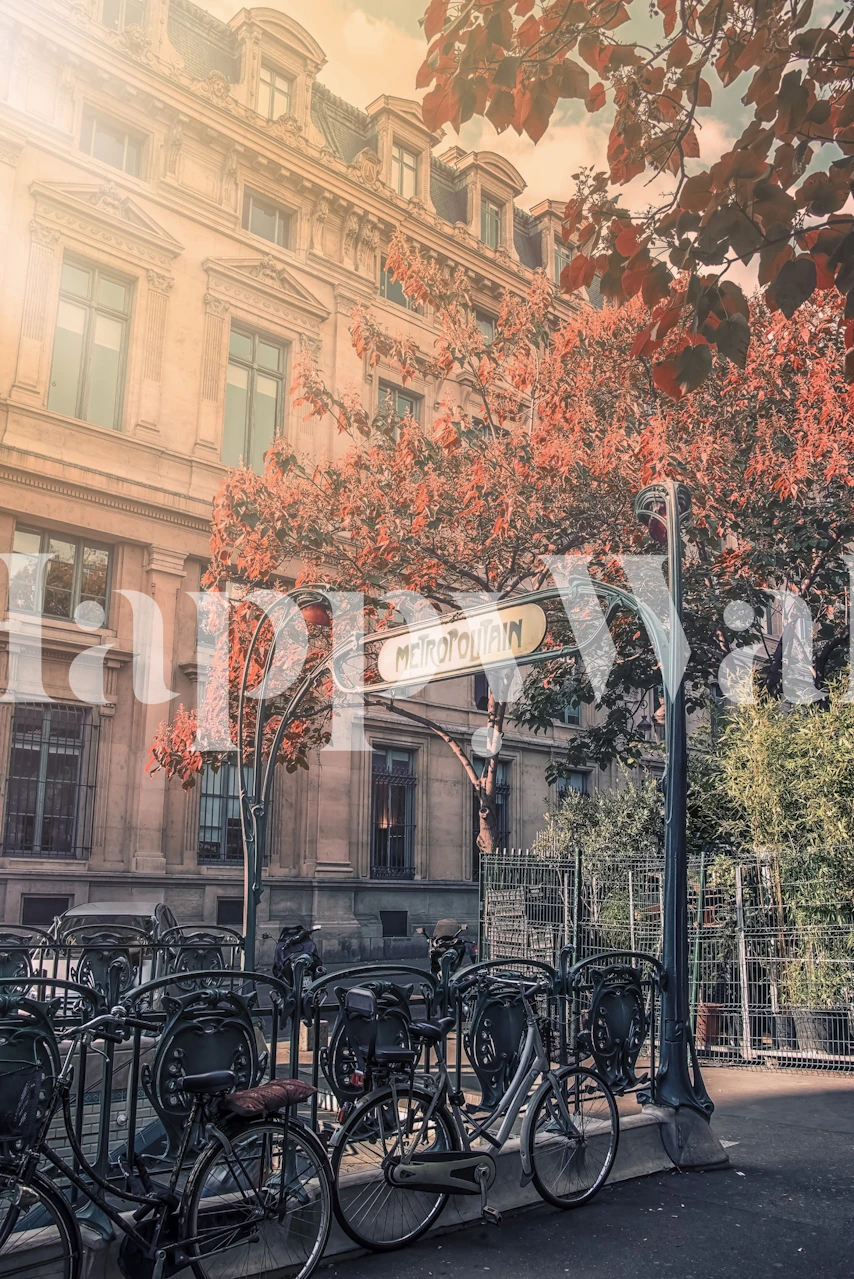 Vintage Paris street scene with classic architecture and autumn foliage wallpaper