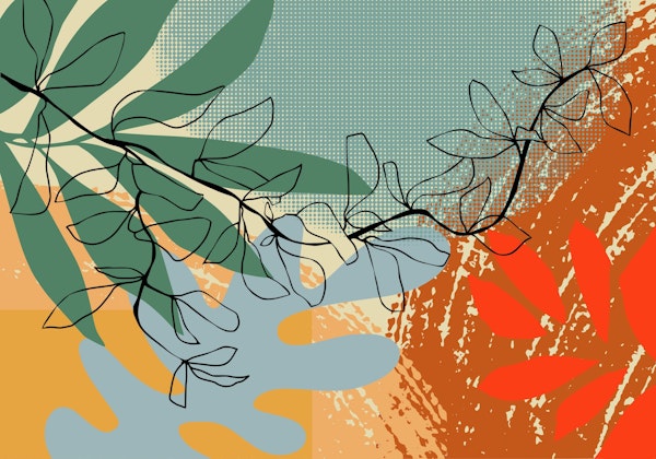 Abstract branch close up