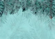Turquoise Teal Jungle Vibe