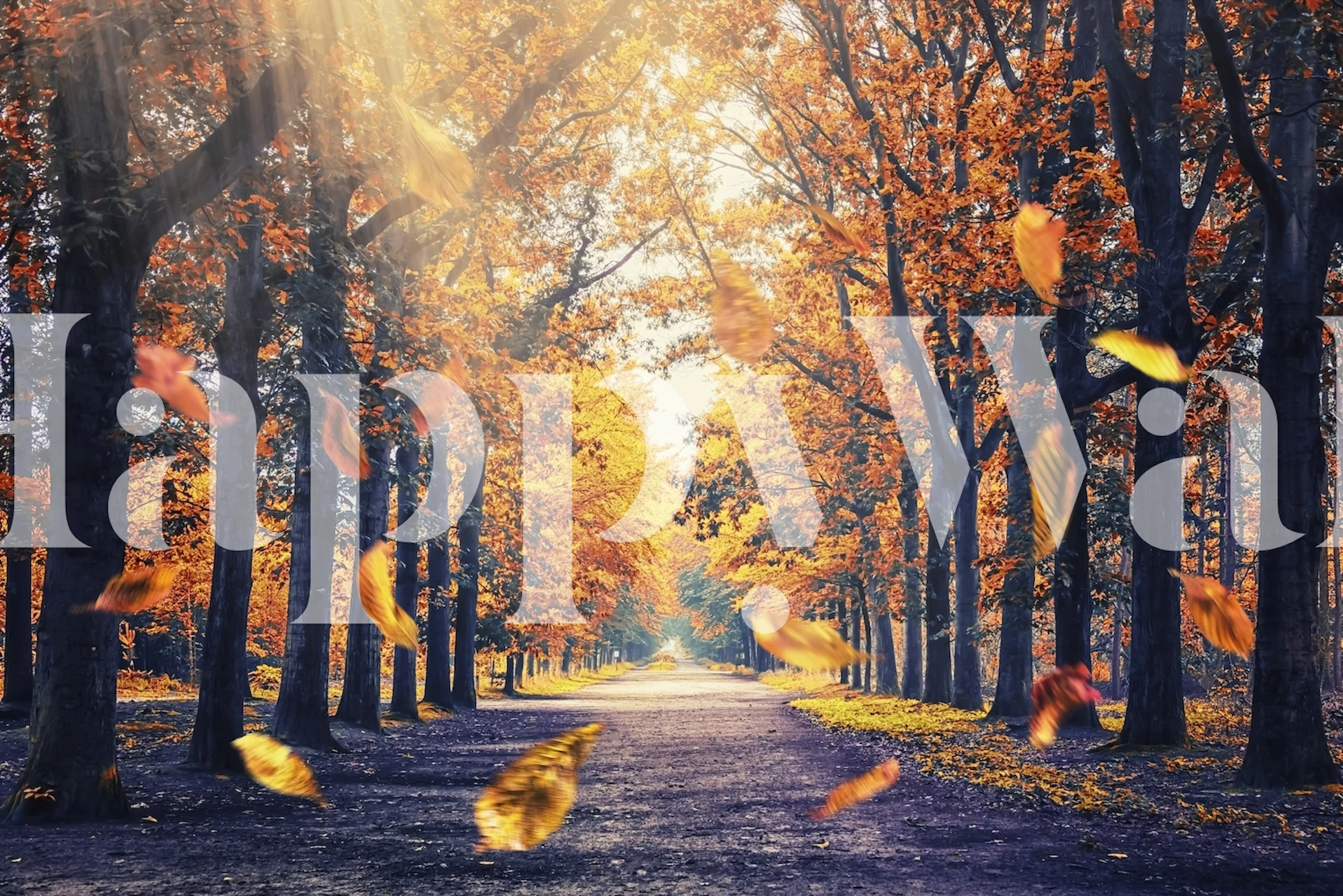 Dutch Wood wallpaper in a decorated room