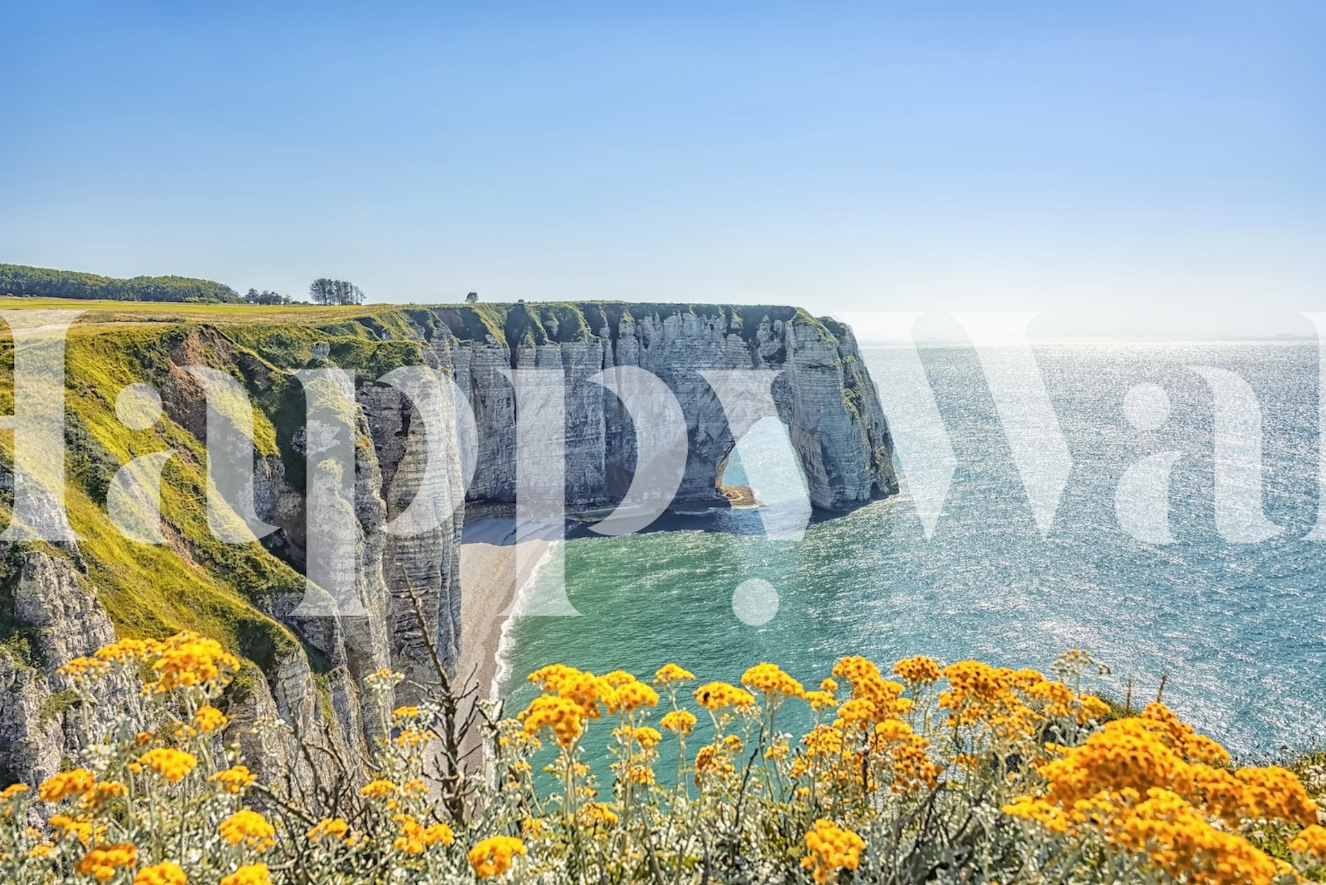 Beautiful Etretat Cliffs with yellow flowers and blue sea wallpaper