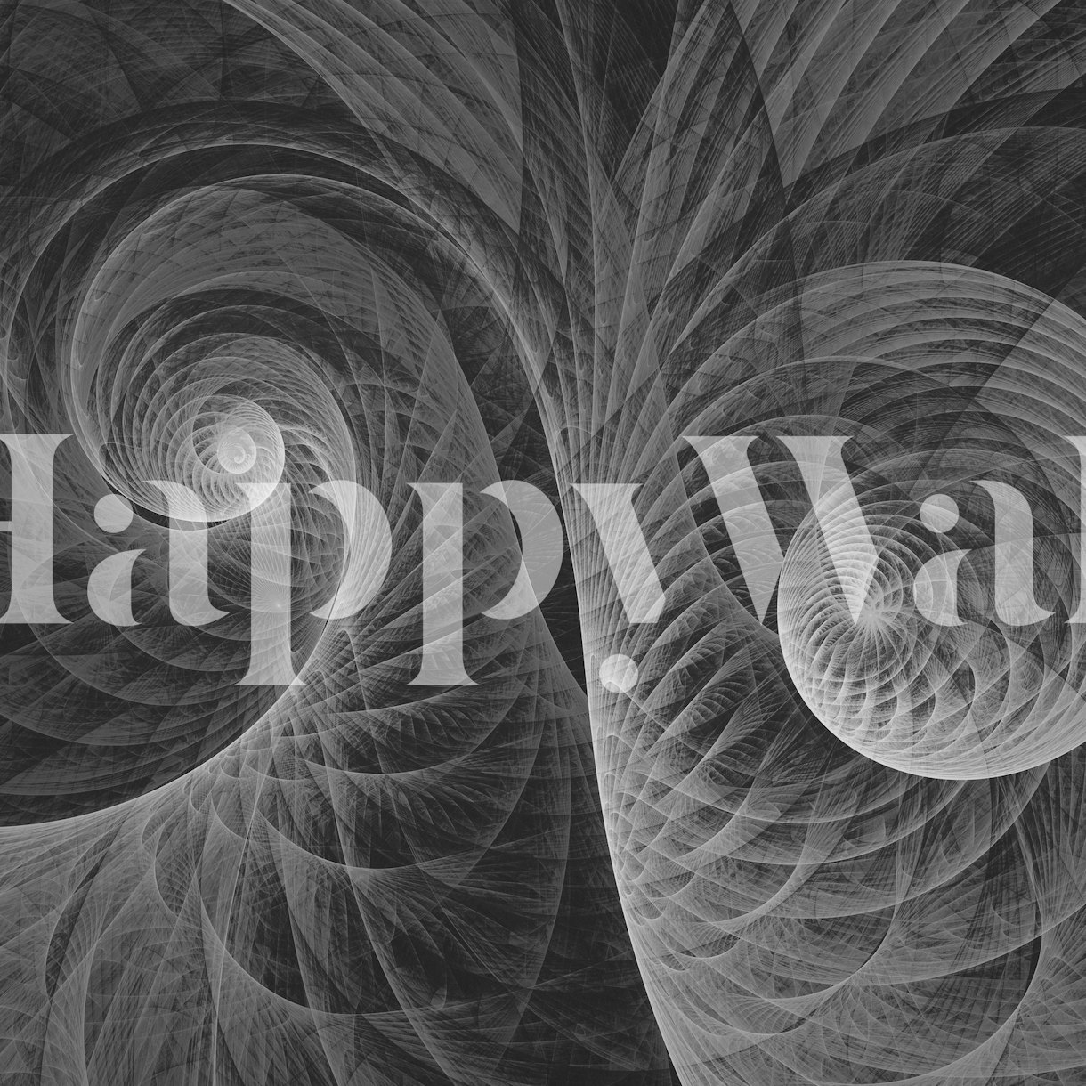"Black Vortex Wallpaper Stylish and Bold Designs Happywall"