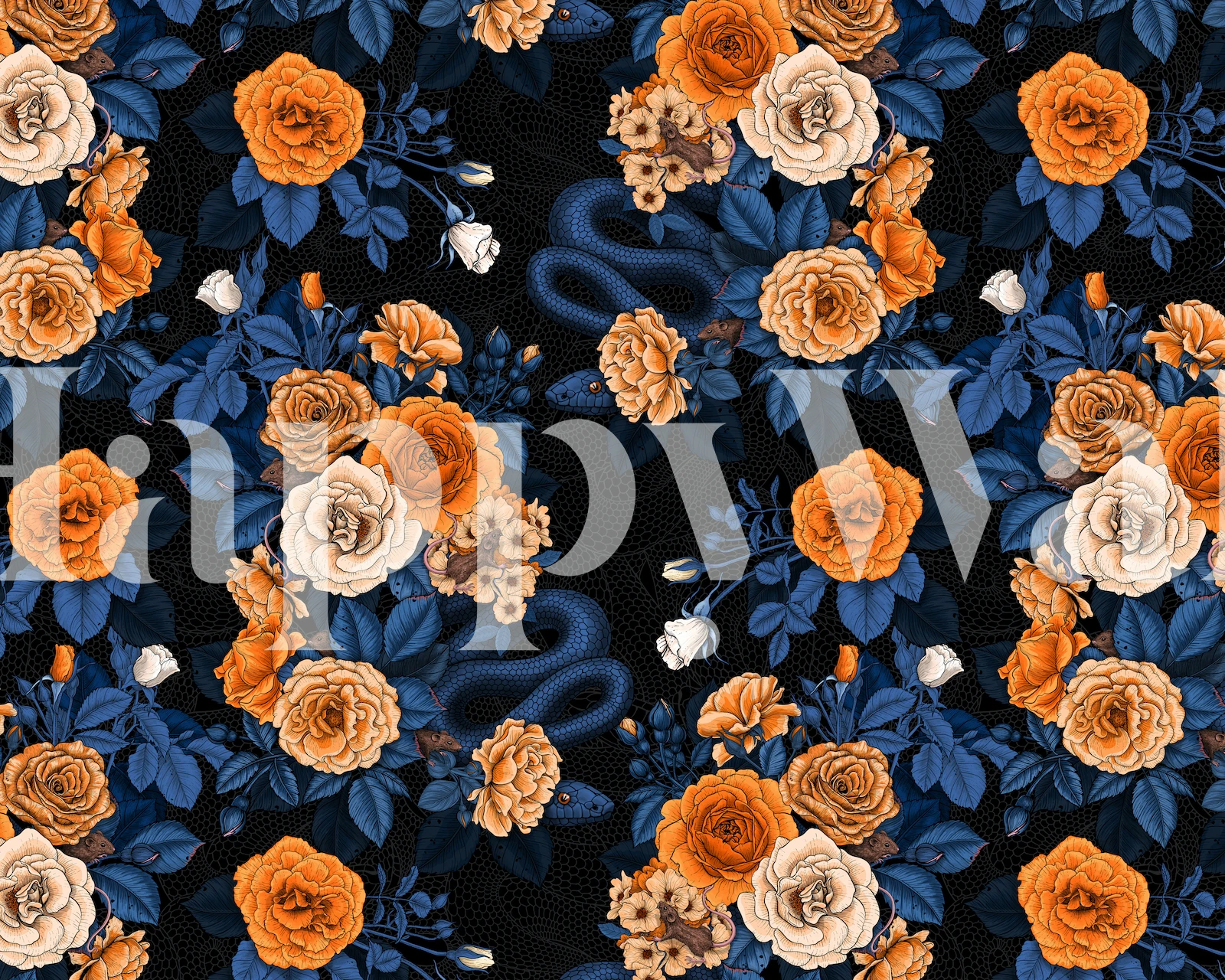 Navy floral wallpaper with orange and cream roses and dark leaves