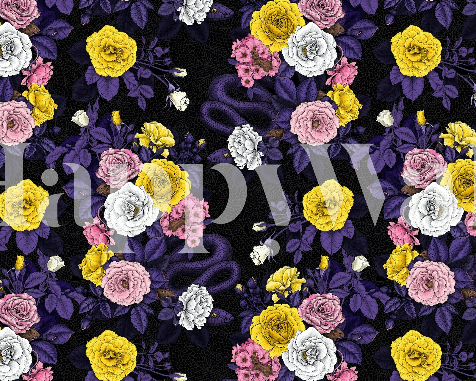 Floral wallpaper with roses and dark background