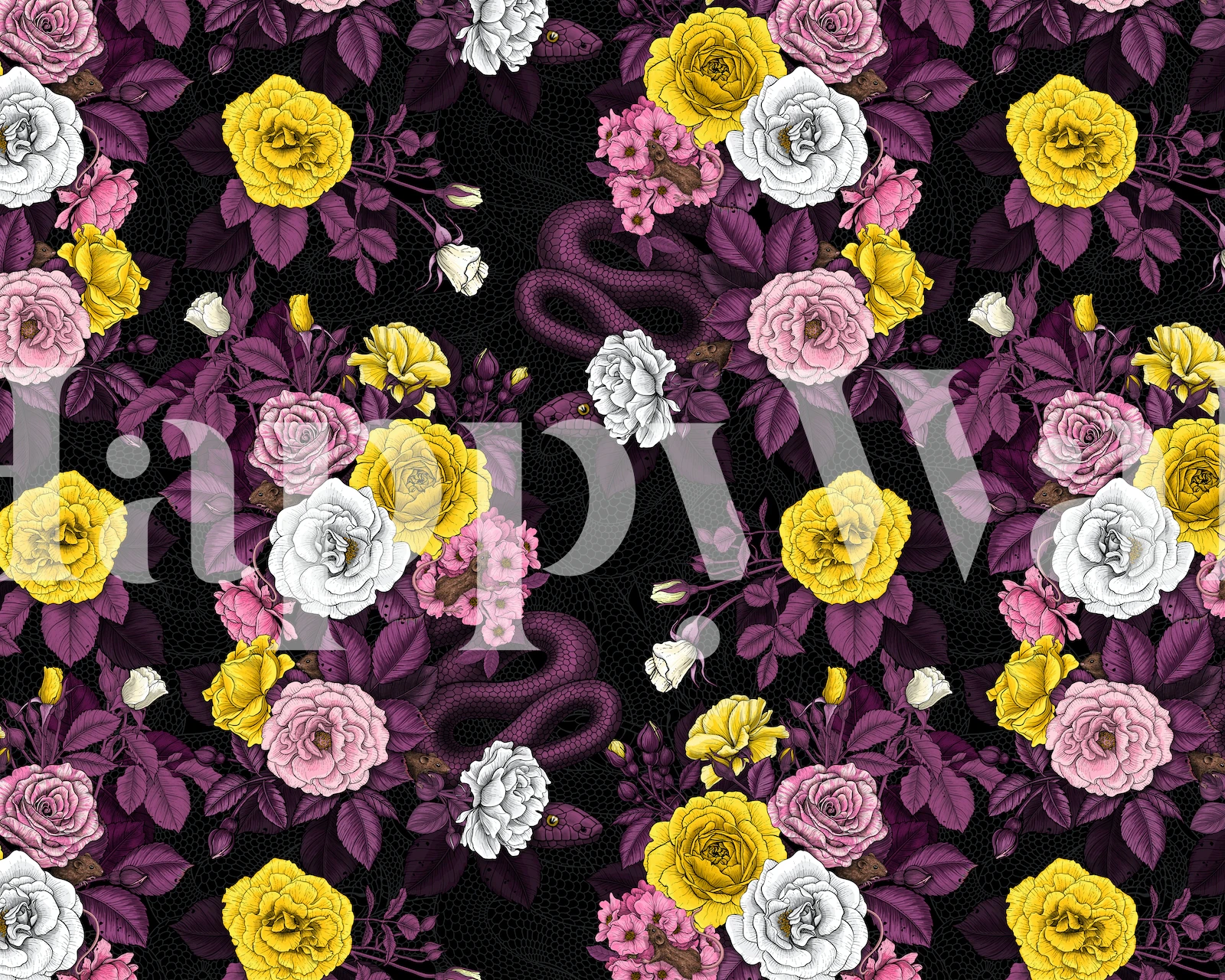 Żywy różany kwiatowy wzór na czarnej fototapecie w tle