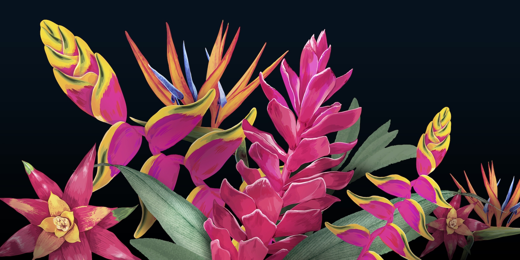 Floral Tropical Black Wallpaper - Happywall