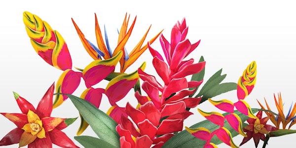 Floral Tropical White