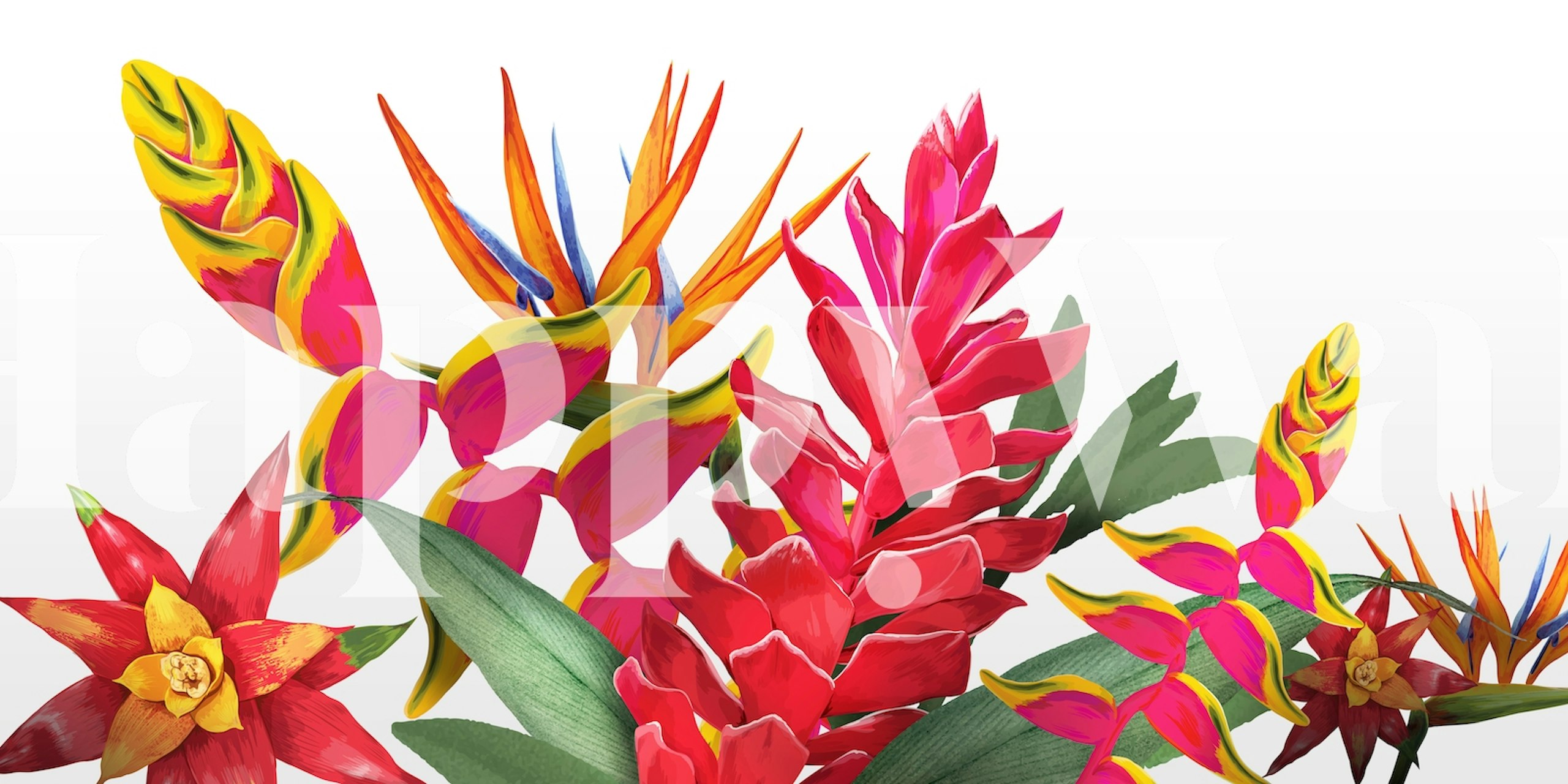 Floral Tropical White wallpaper in a room