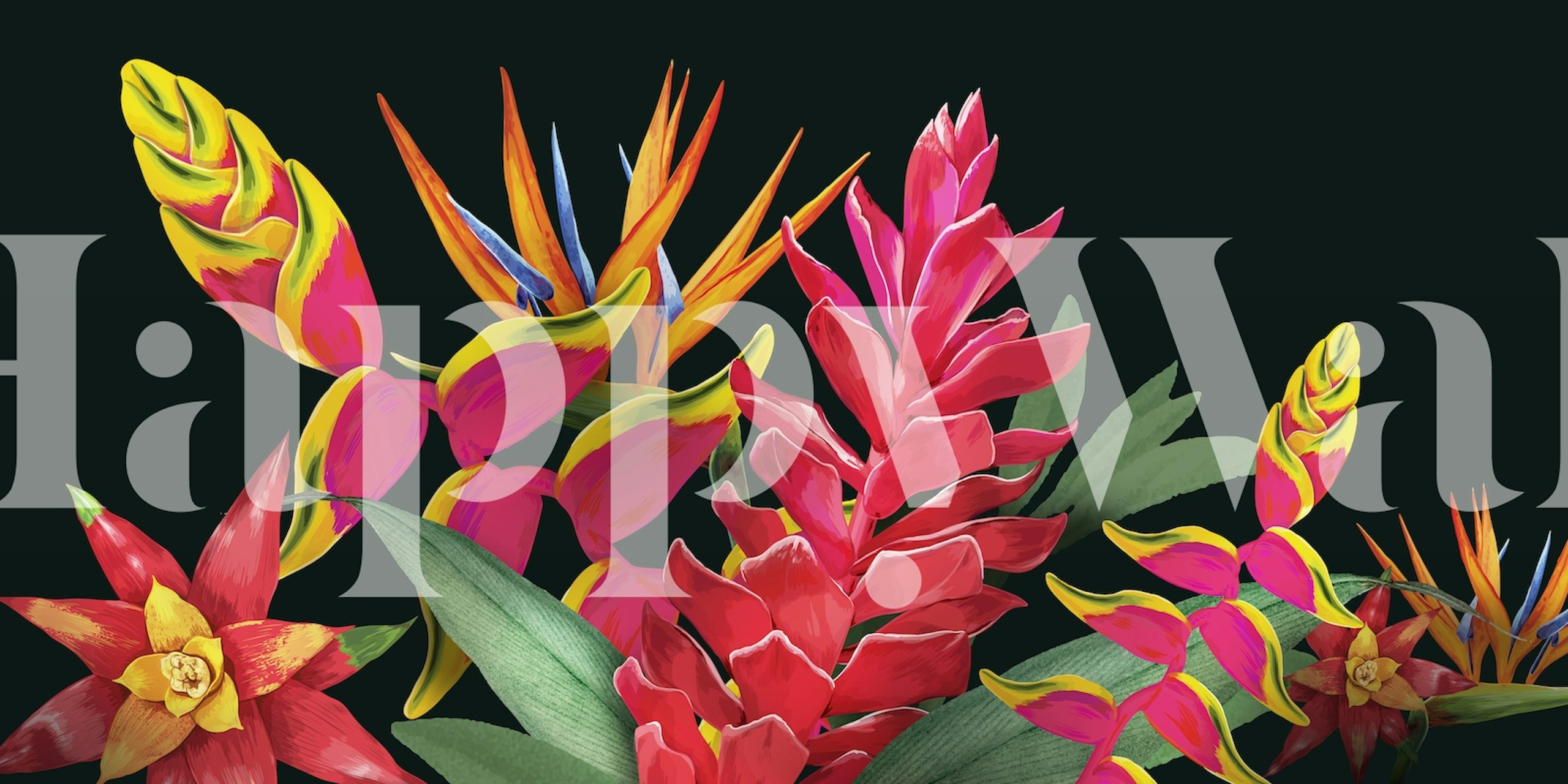 Tropical floral wallpaper with pink, red, and yellow flowers on black background