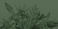 Floral Tropical Green behang