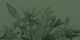 Floral Tropical Green