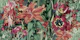 Floral Orange Blue