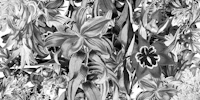 Floral Orange Gray tapet