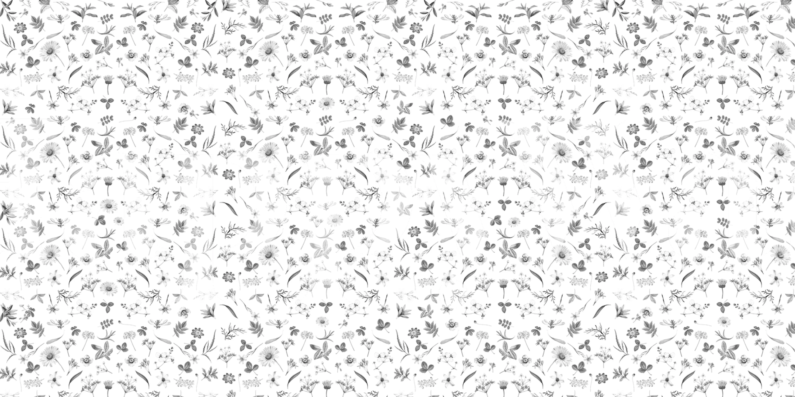 Floral wallpaper pattern displayed in a room