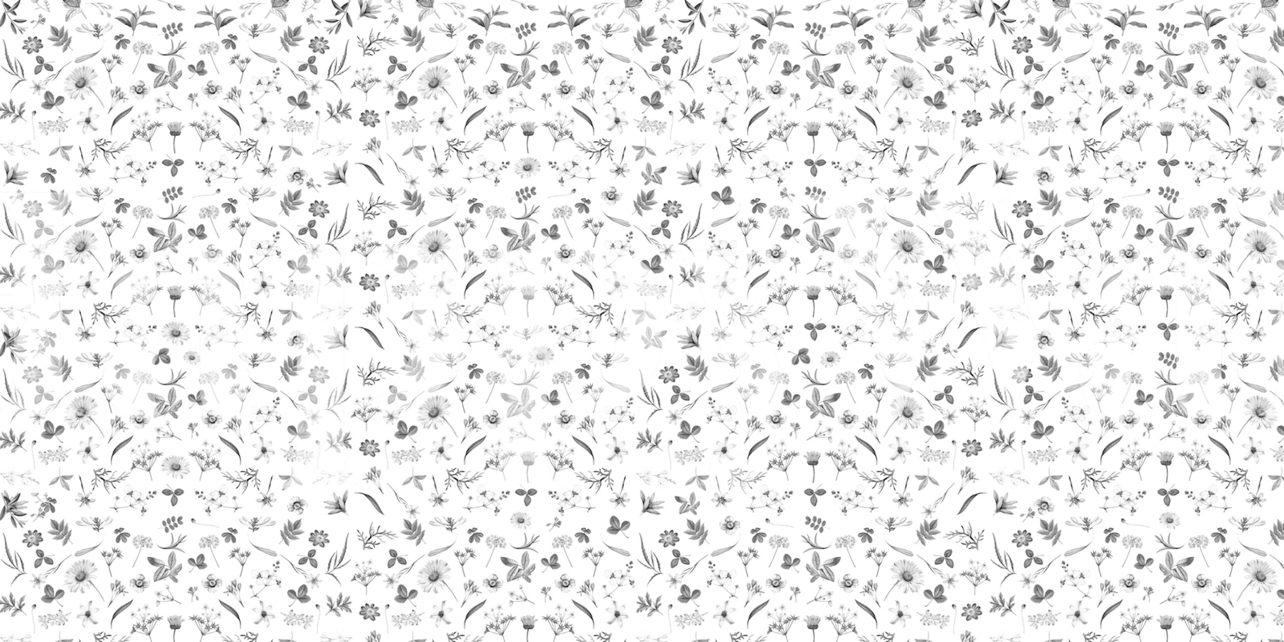 Padrão floral da papel de parede exibido em um quarto