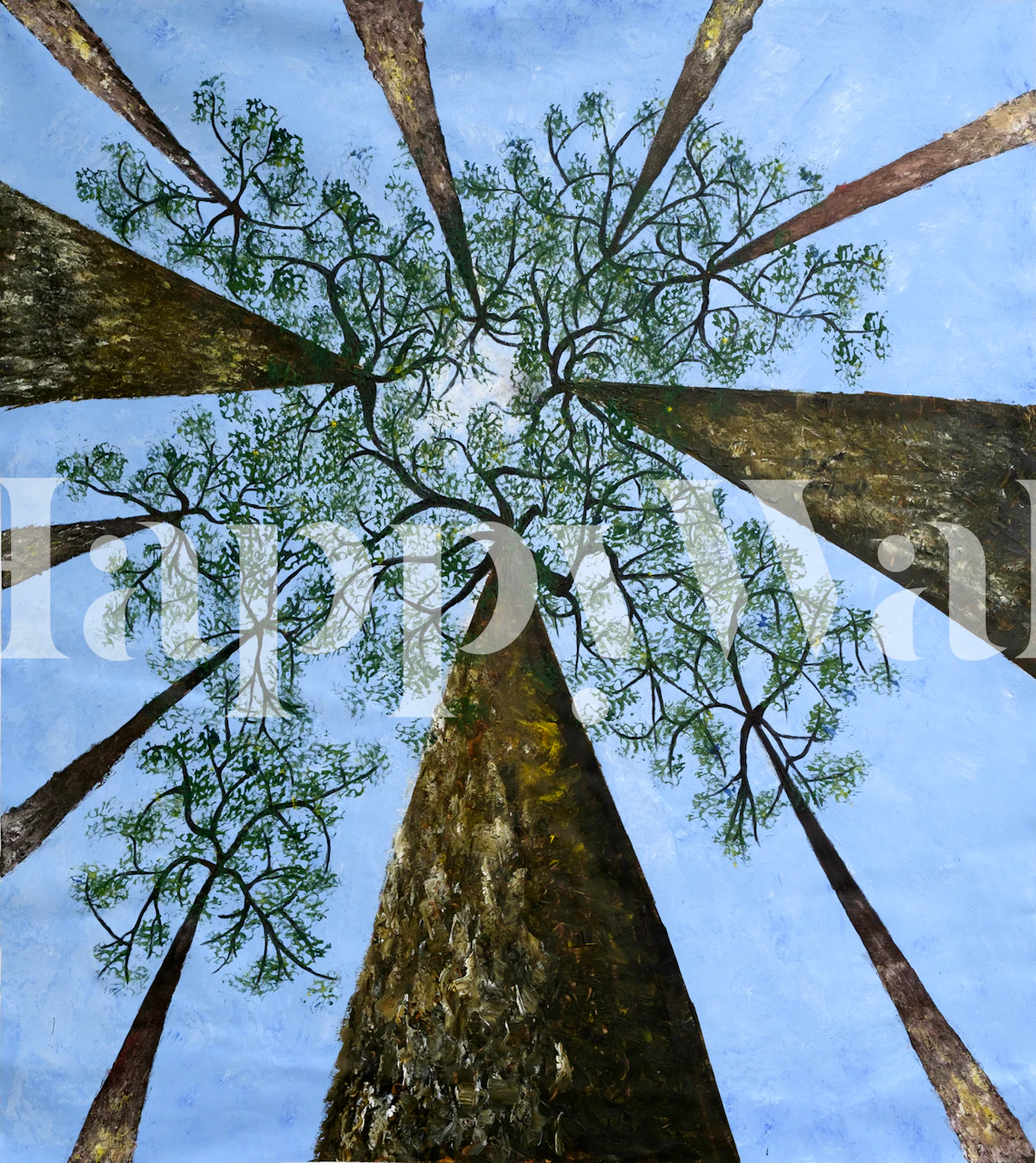 Tree canopy view with blue sky and green foliage wallpaper