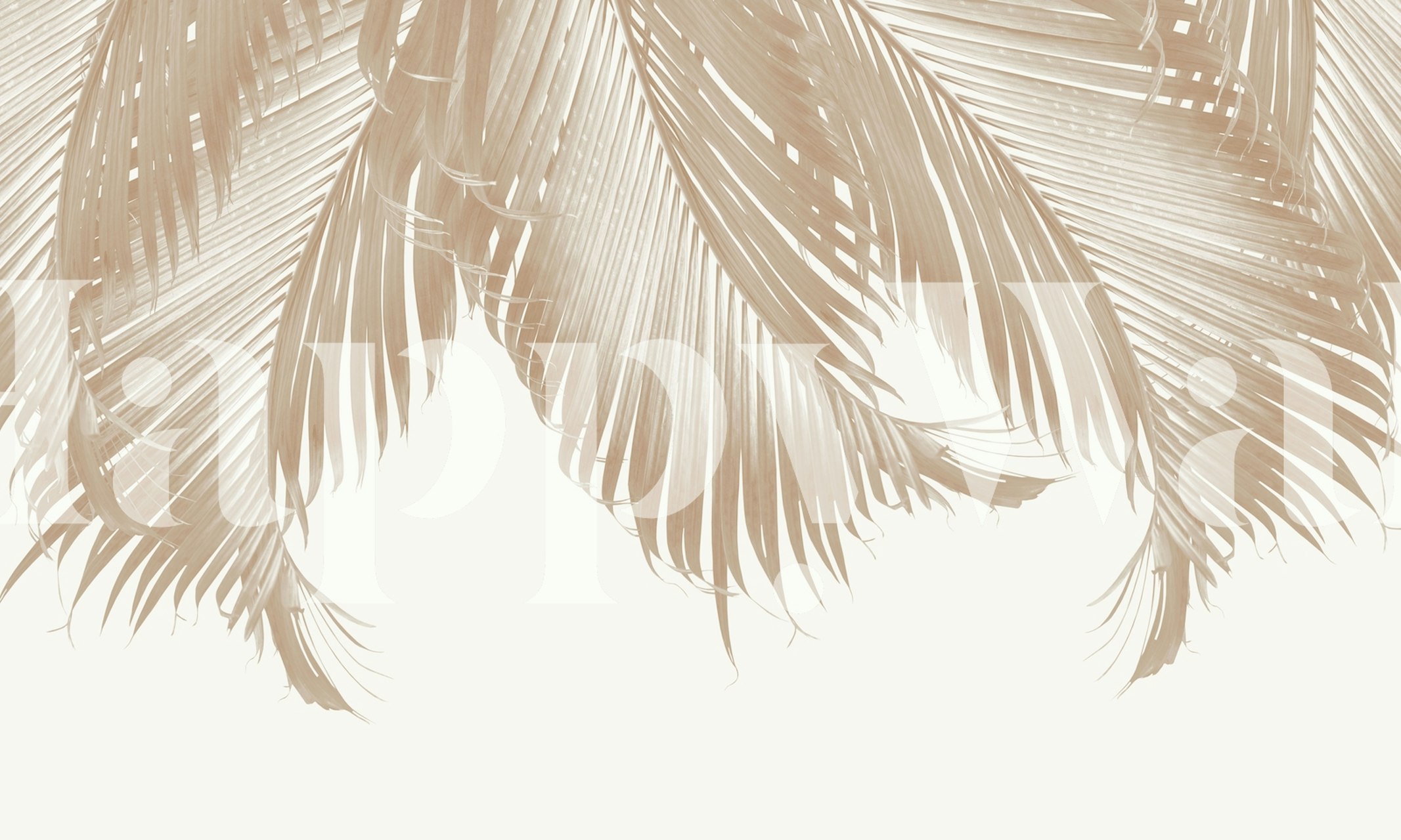Beige palm leaves on a light background wallpaper