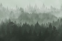 Forest Green 2 behang