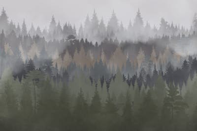 Τοιχογραφία