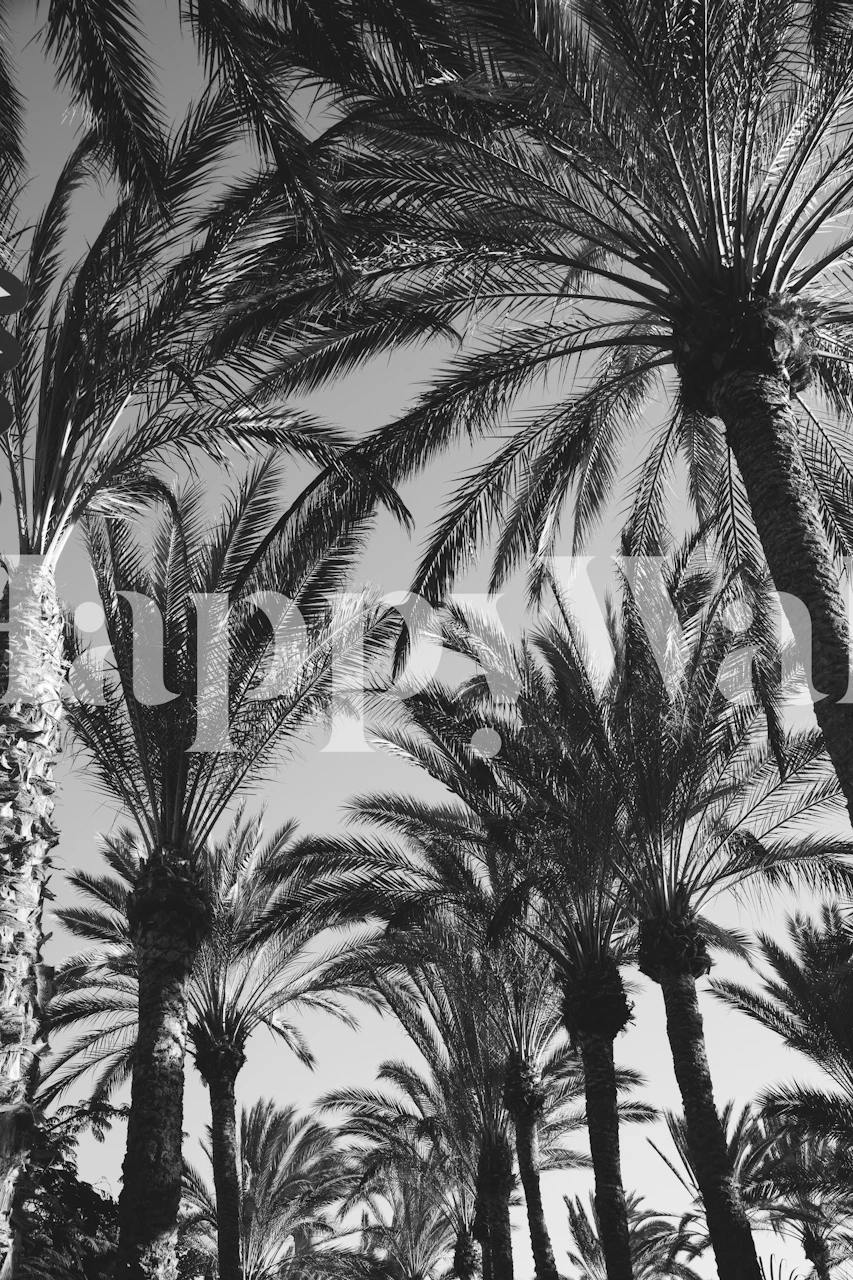 Monochrome Palmen-Dschungel-Tapete mit komplizierten Blattmustern