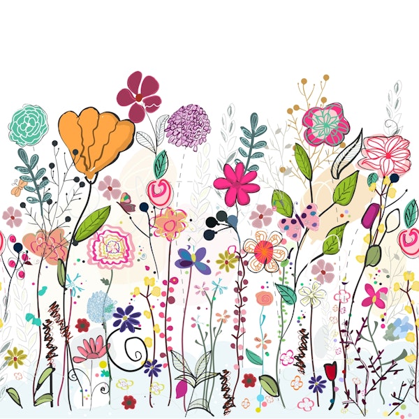 Colorful wildflowers field