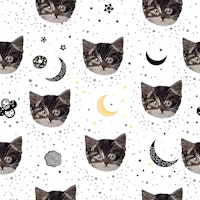 Cute cats and space tapete
