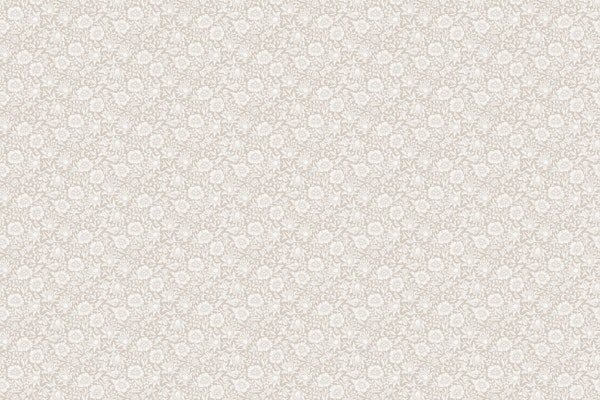 Mallow hibiscus flowers & foliage - beige