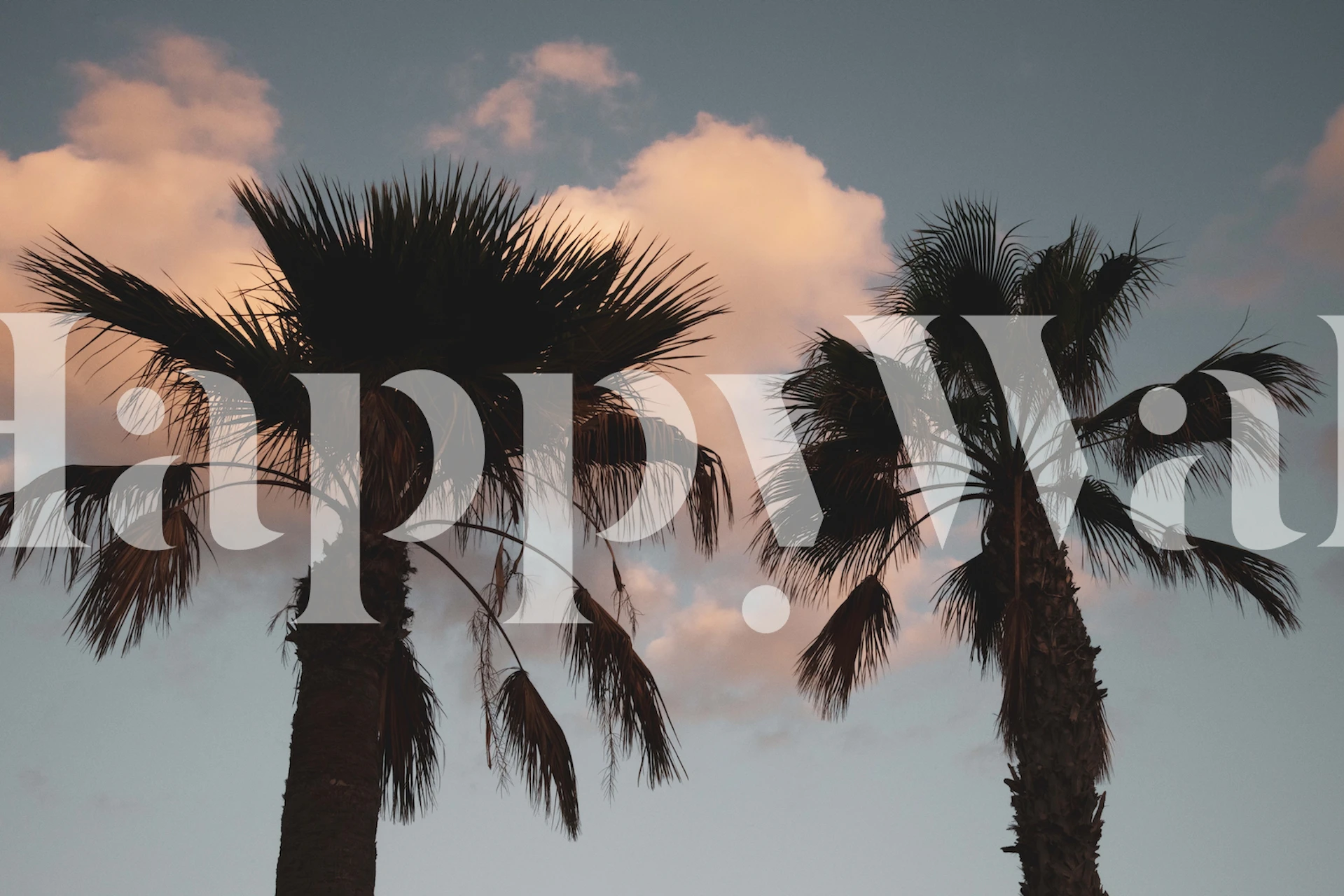 Silhouetted palm trees against a sunset sky wallpaper