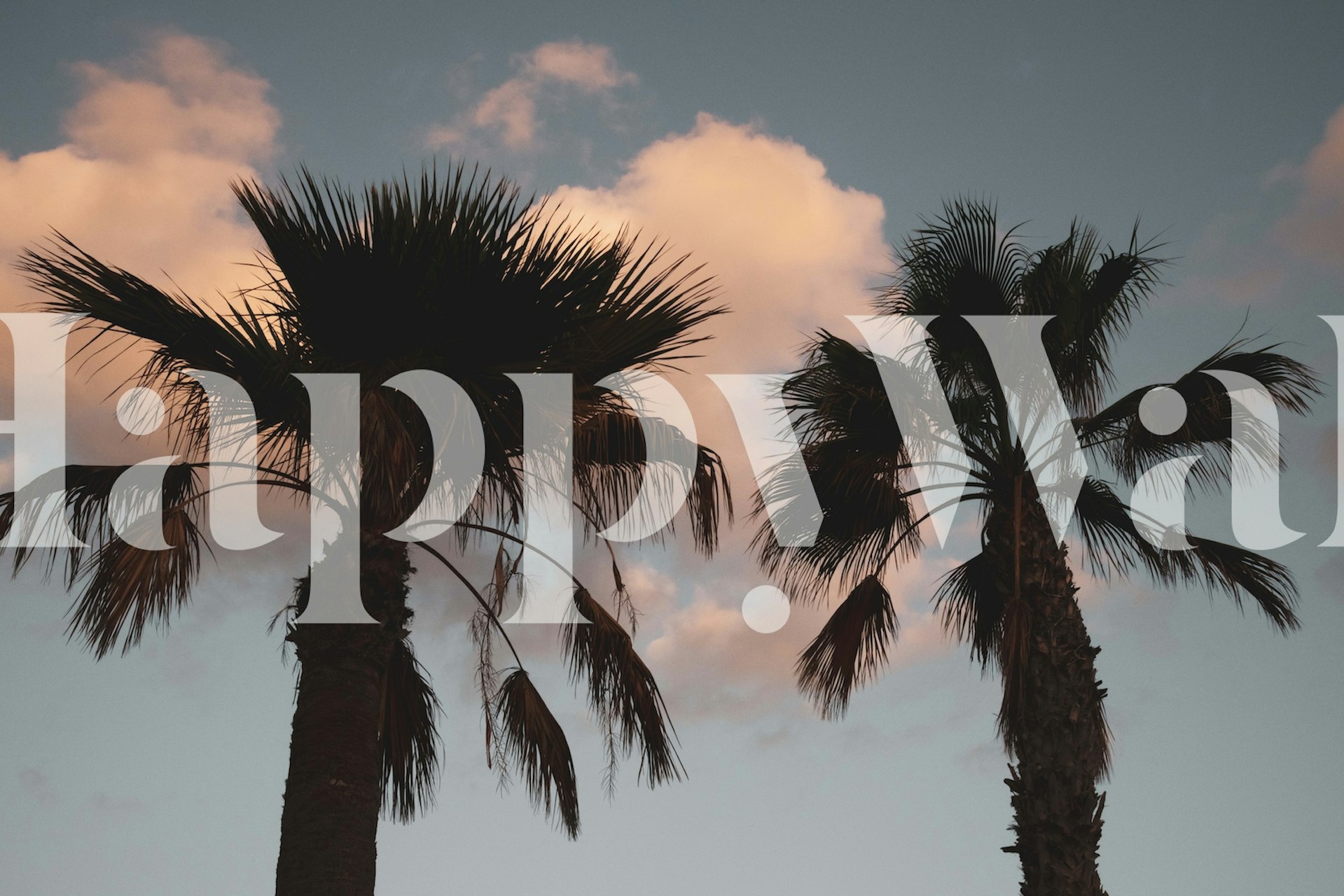 Sunset Palm Trees tapet i et rum