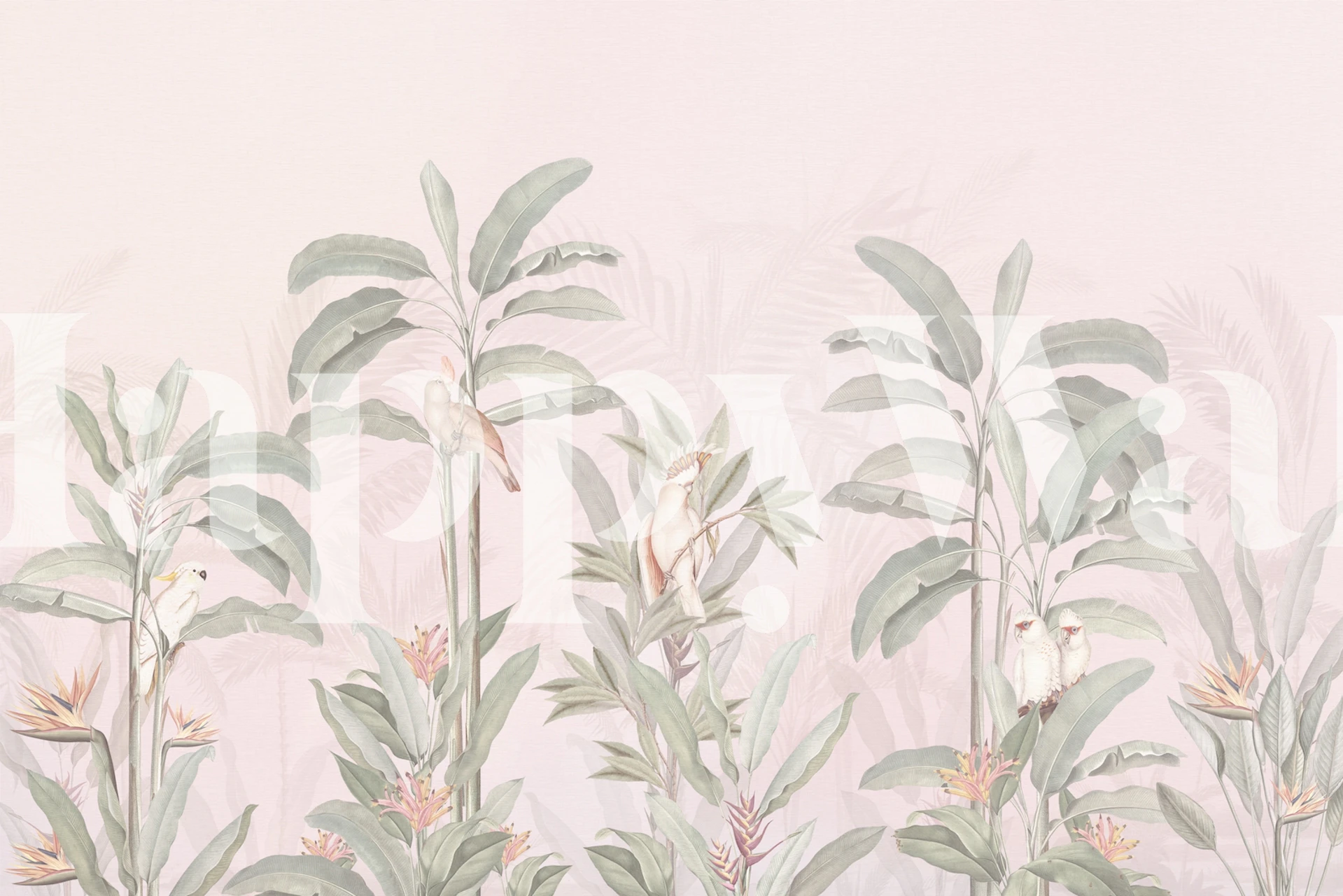 Pastel blush jungle landscape wallpaper with tropical leaves and birds