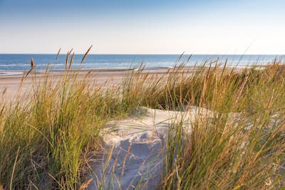 Τοιχογραφία
