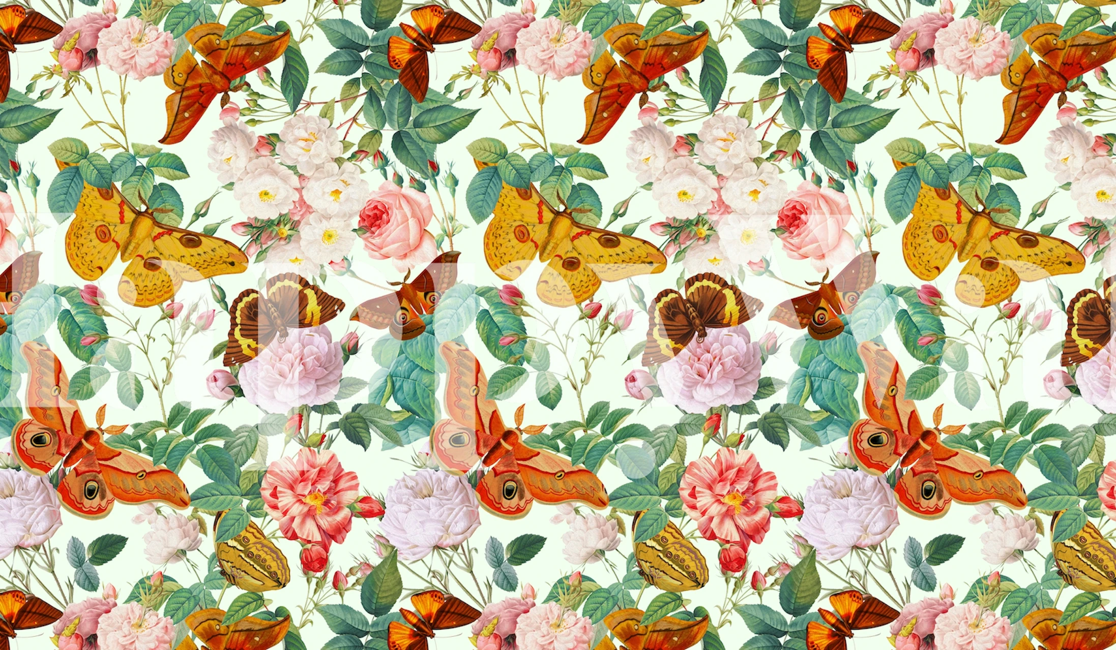 Fototapeta Moths and Butterflies se svěžími květinami v živém designu