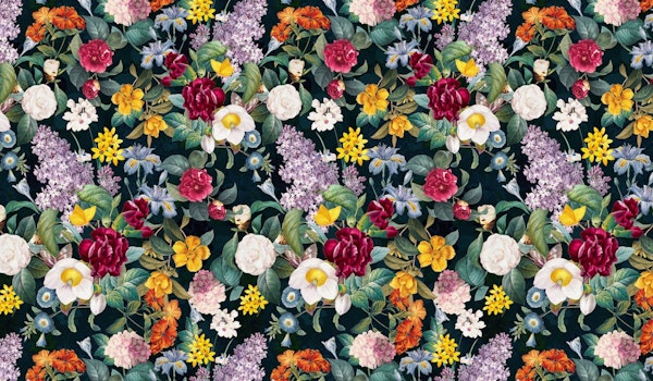 Midnight Garden XXVII