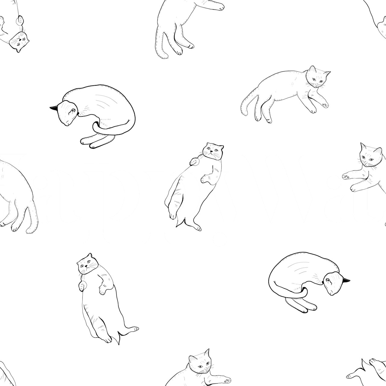 Sketch-tyyliset kissat saumattomalla valkoisella taustalla olevalla seinämaalauksella