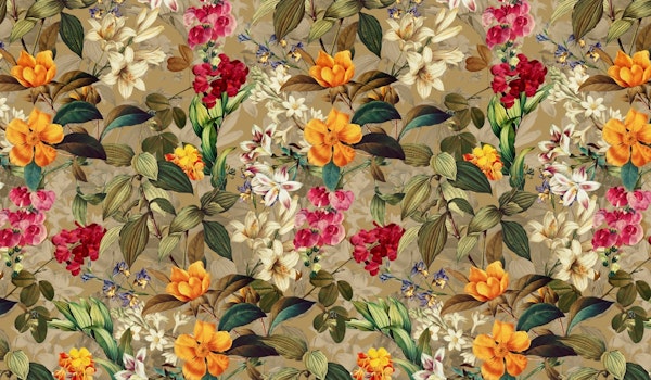 Summer is Coming XVI