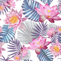 Pink lotus flower botanical wallpaper