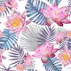 Pink lotus flower botanical