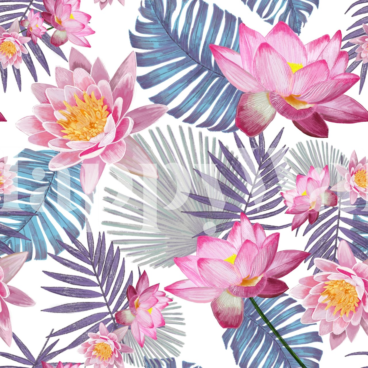 Pink lotus flowers with purple leaves wallpaper