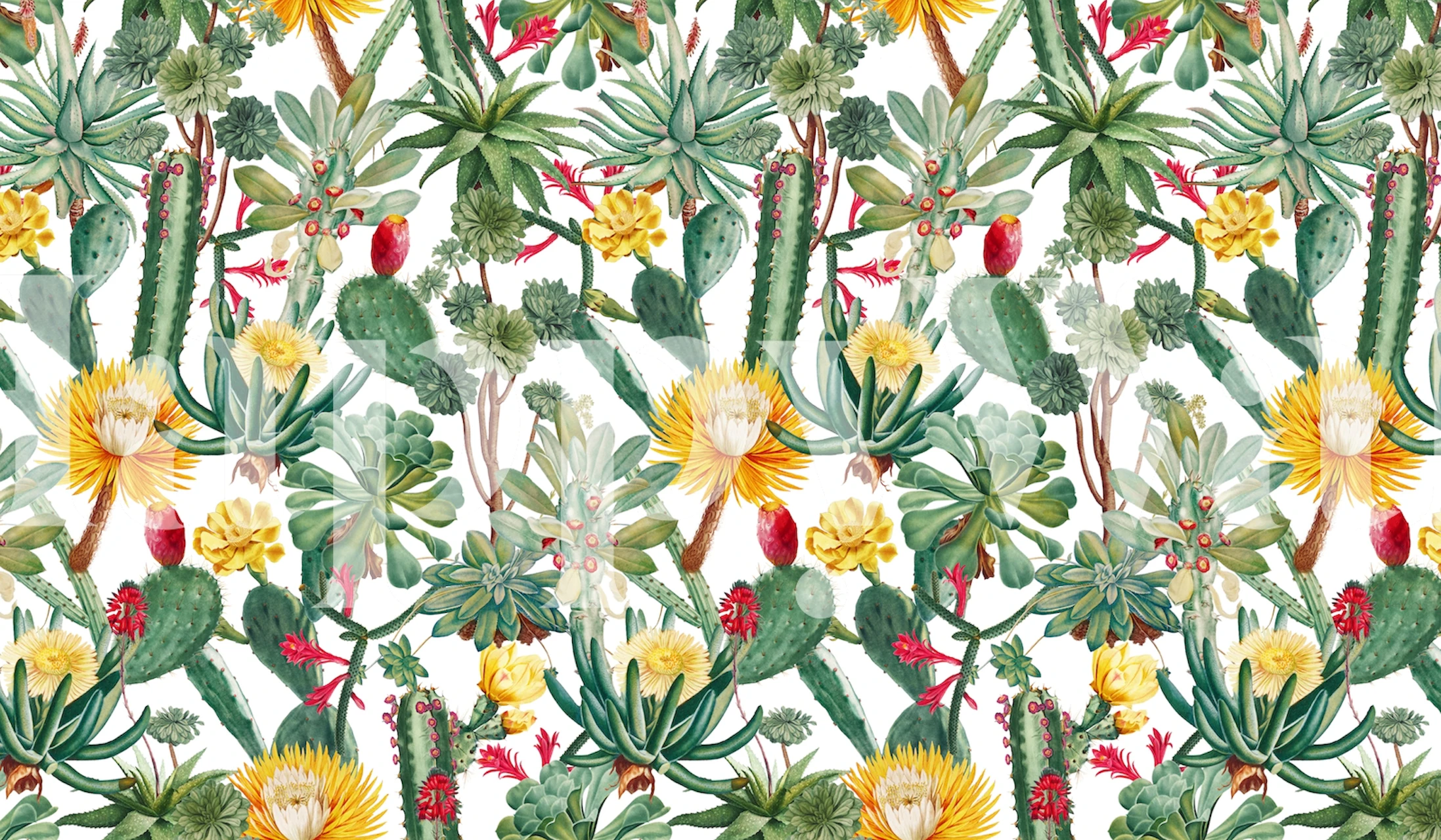 Vibrant cactus and floral print in greens, yellows, and reds on white wallpaper
