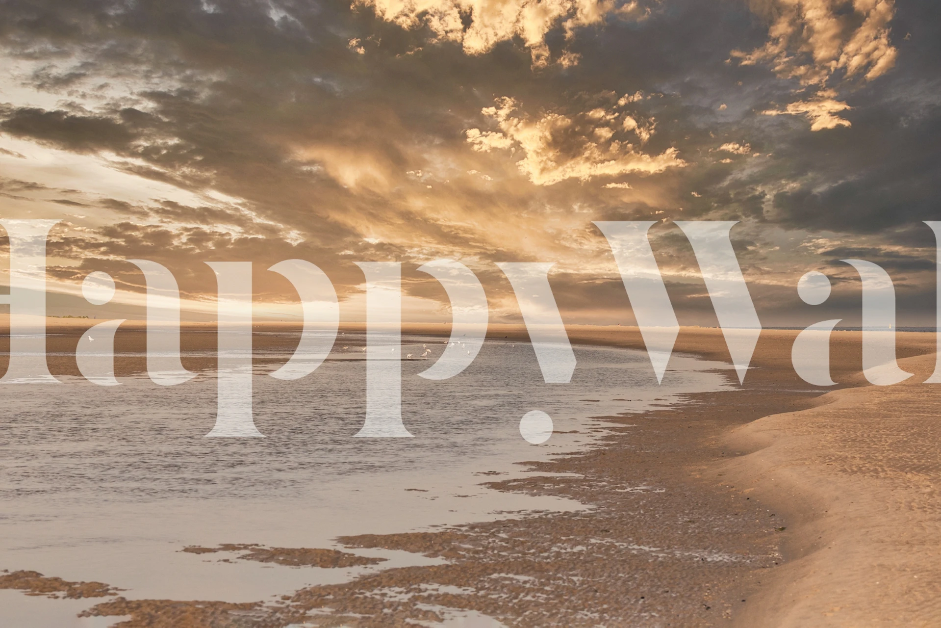 Dramatic beach sunset with golden tones and dark clouds wallpaper