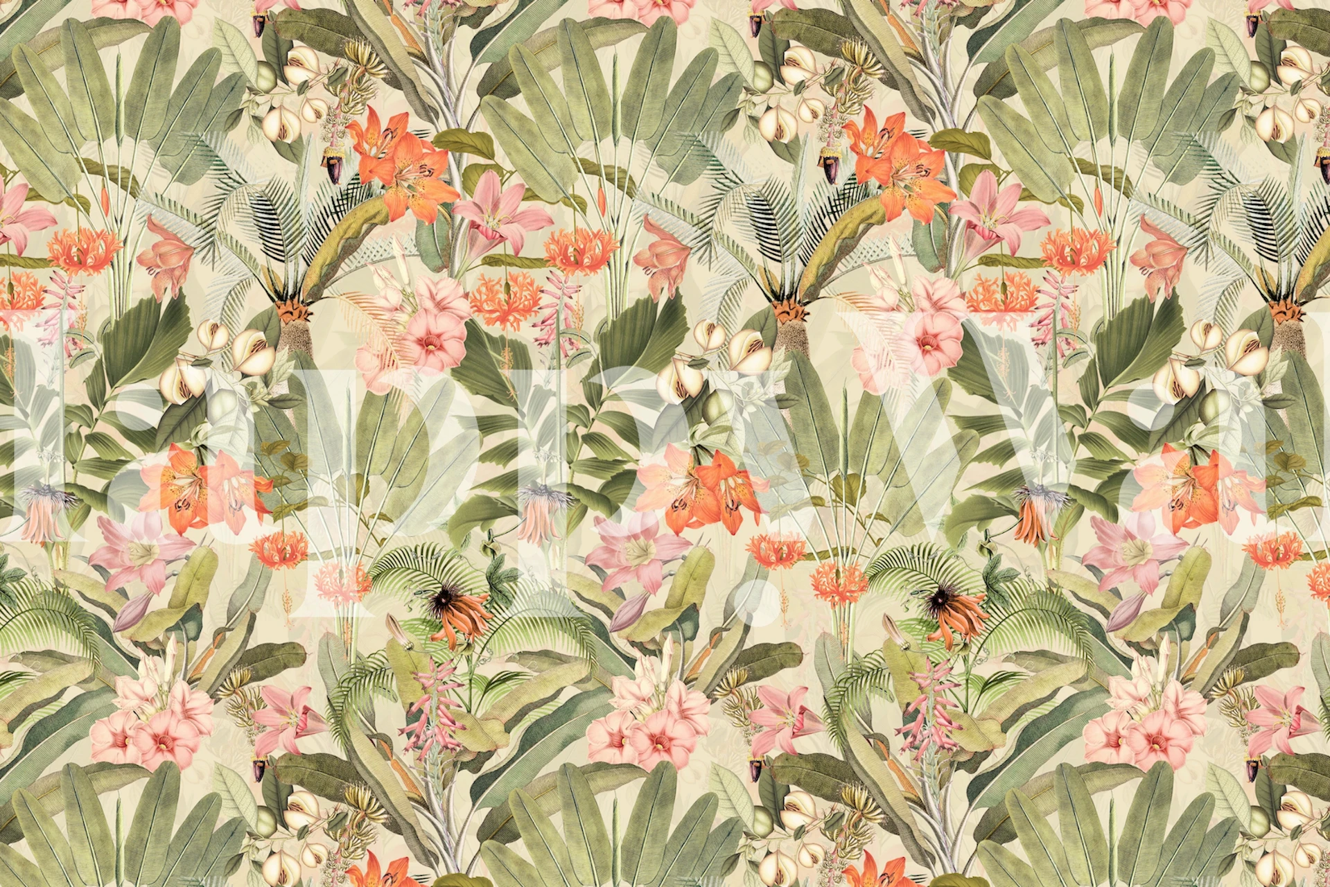 Fototapeta Tropical Hibiscus Jungle se svěží zelení a zářivými květy