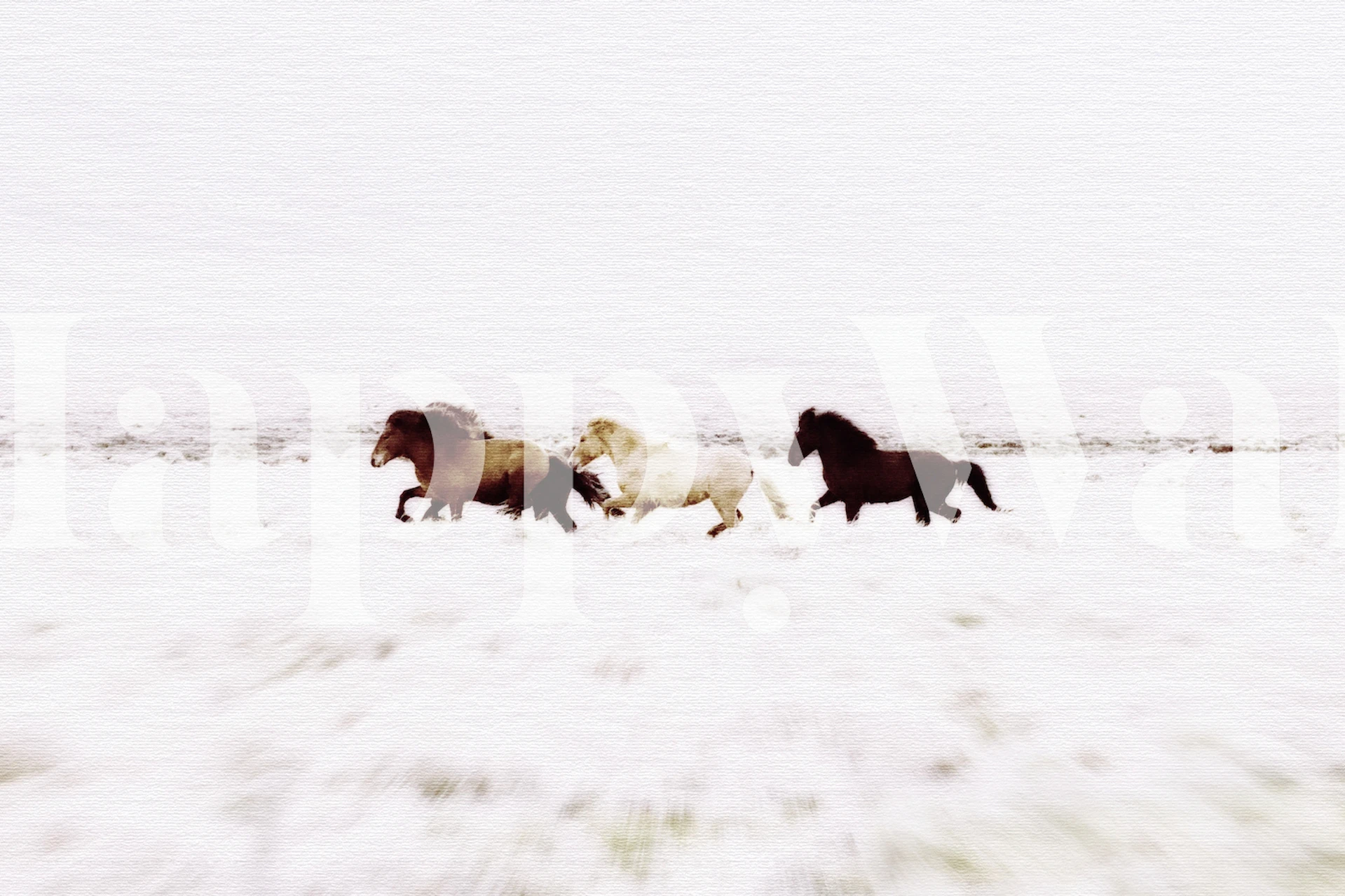 Wild Horses løber i et smukt landskab